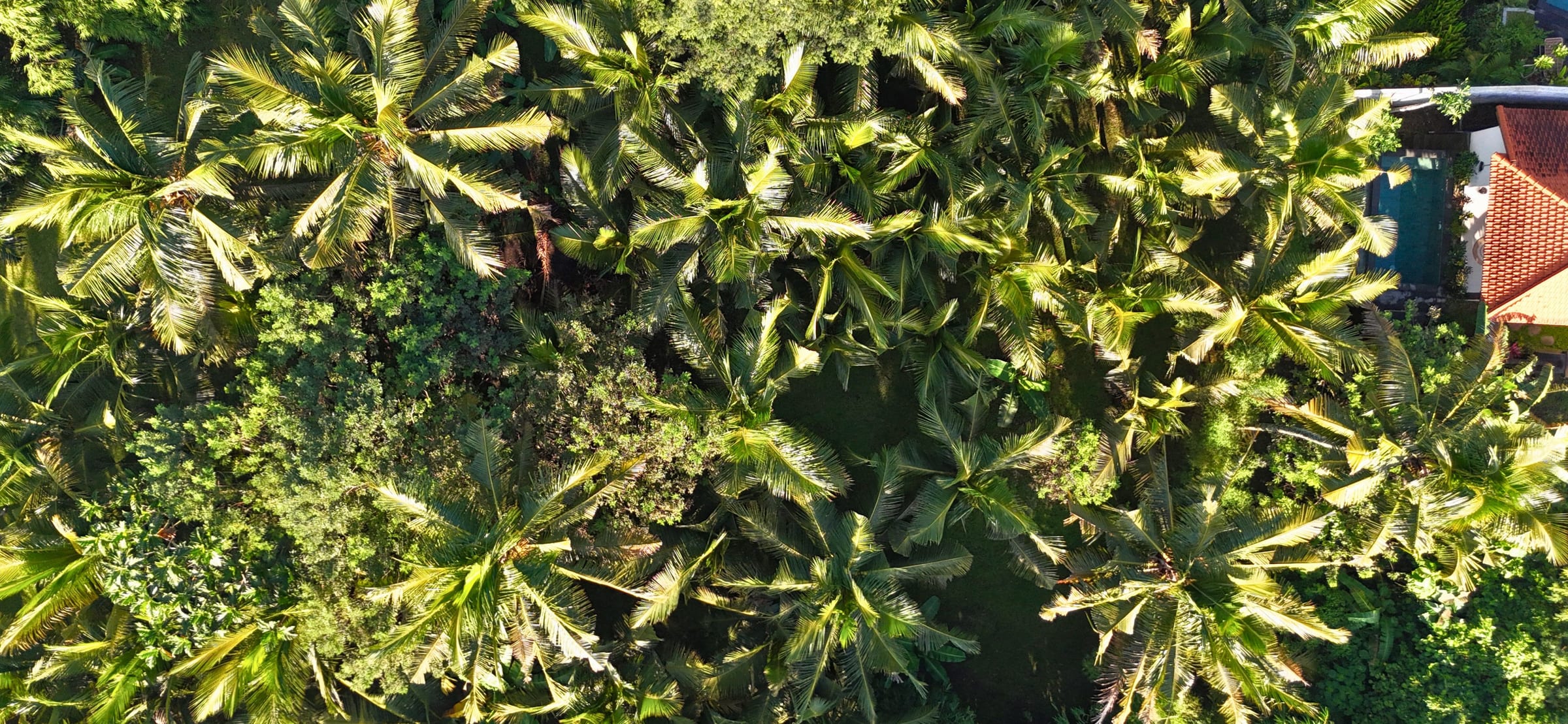 Environment 4